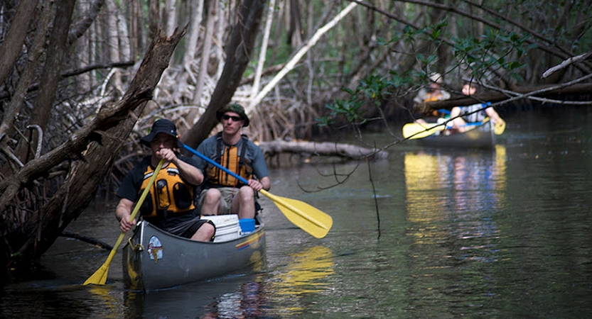 a group of people paddle canoes through a thick wooded area on an outward bound expedition 